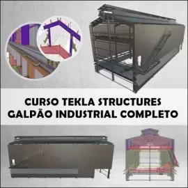 CURSO MODELAGEM E DETALHAMENTO DE GALPO INDUSTRIAL COMPLETO COM TEKLA STRUCTURES (5 em1)