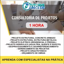 CONSULTORIA PERSONALIZADA AO VIVO (1 HORA)