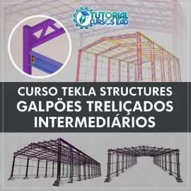 CURSO TEKLA STRUCTURES - GALPES TRELIADOS  (INTERMEDIRIO)